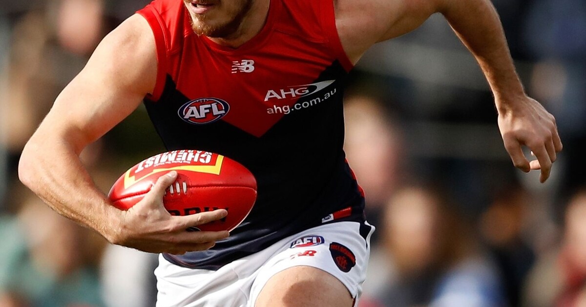 AFL Fan Awards 2017's best defender