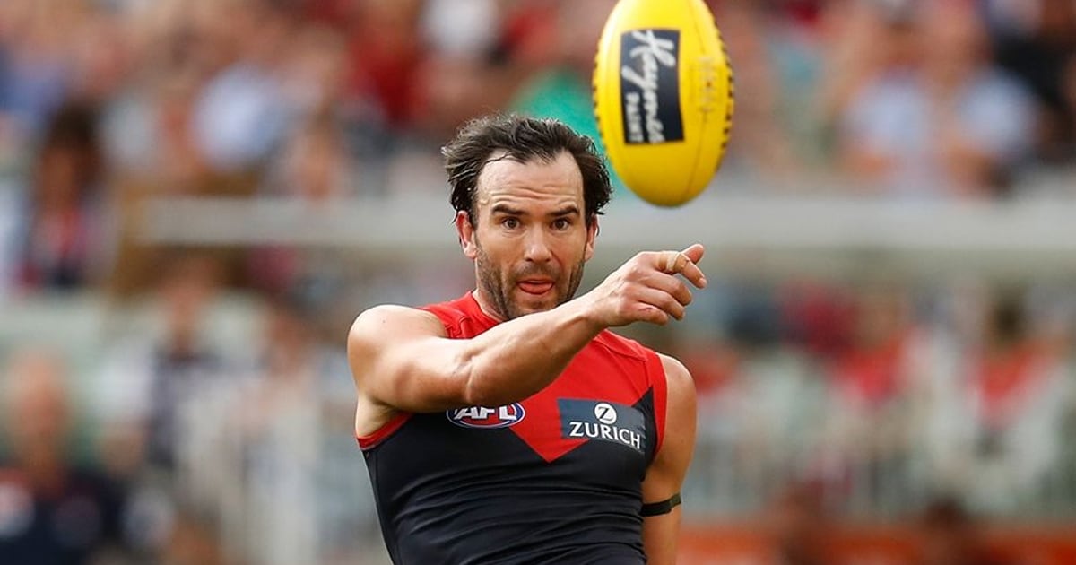 Melbourne's kickin king