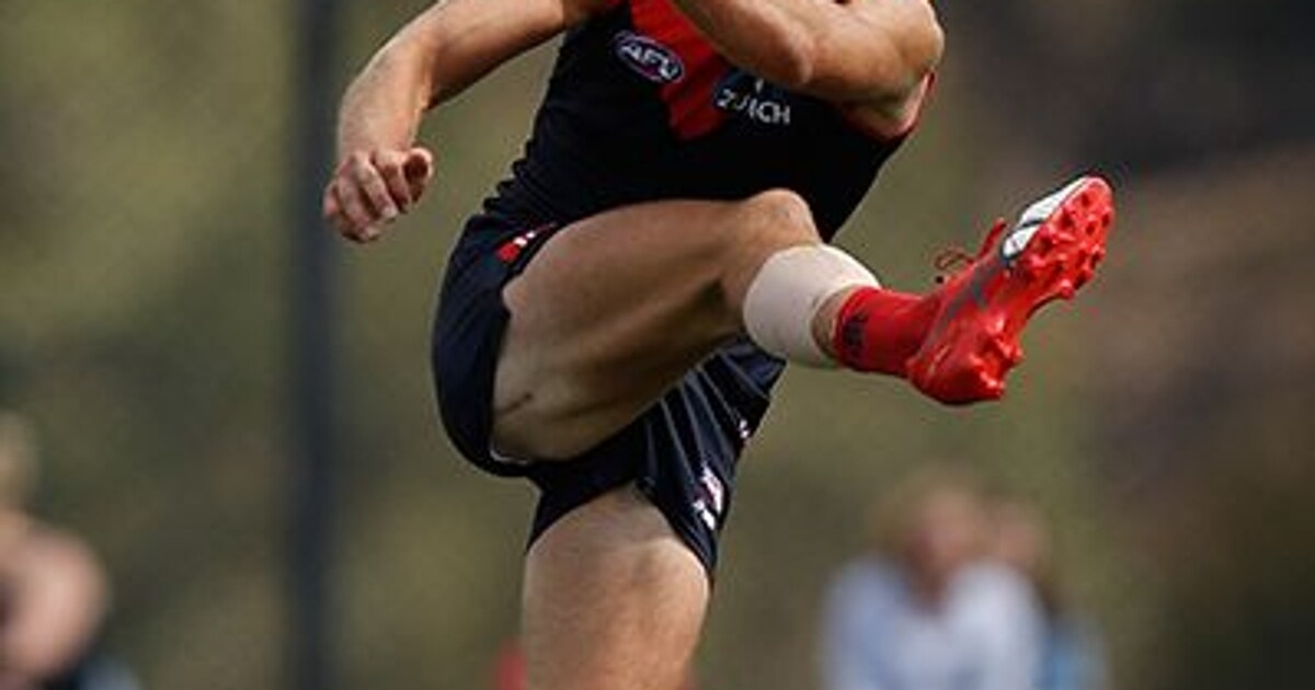 Max S Melbourne On And Off The Field