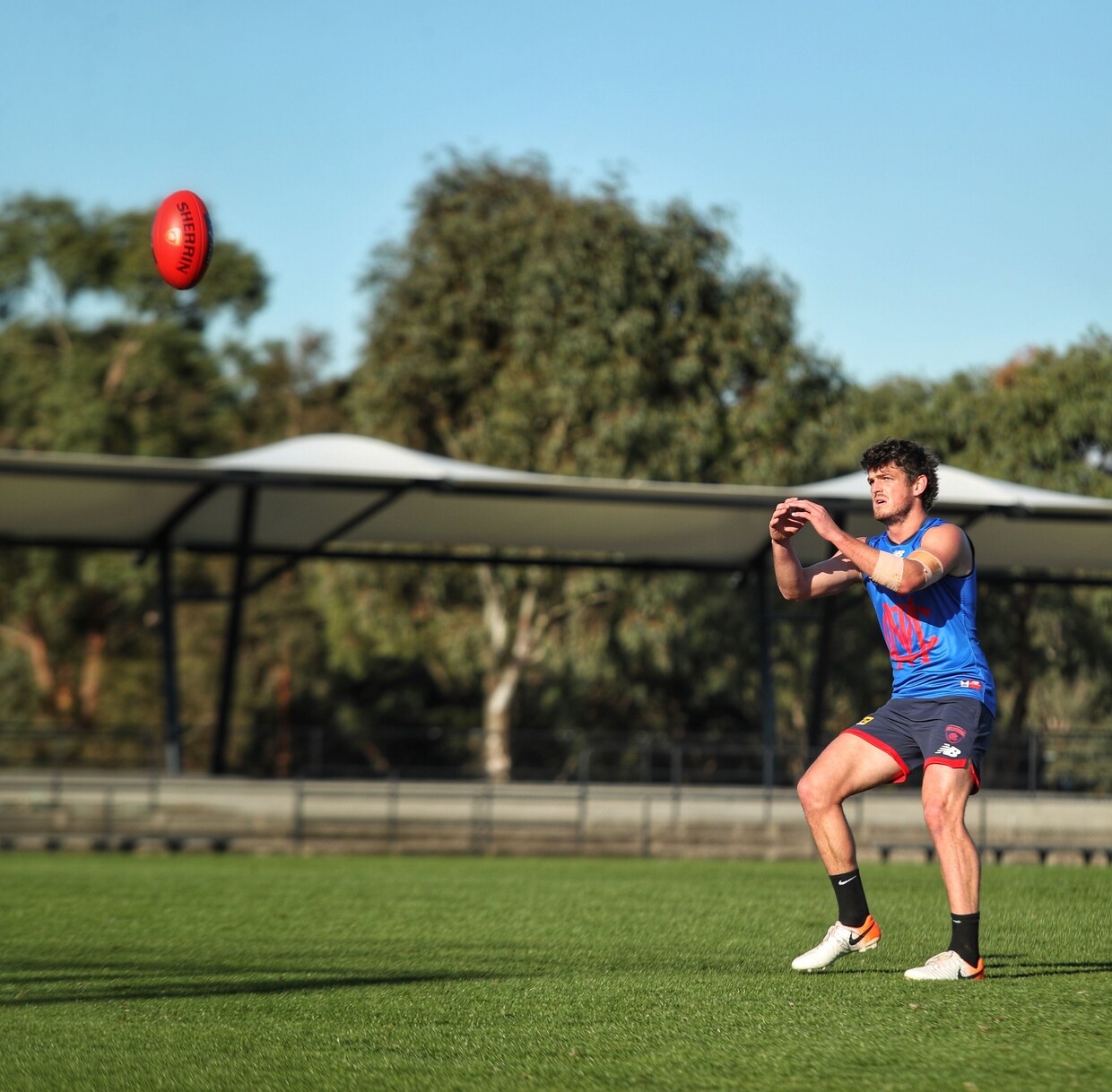 Angus-Brayshaw.JPG?width=1240