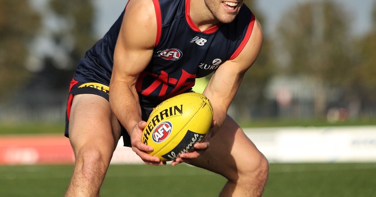 Galleries Melbourne Football Club