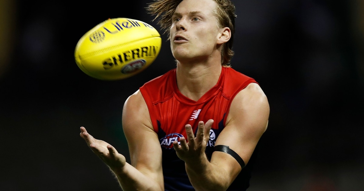 Galleries Melbourne Football Club Galleries Melbourne Football Club
