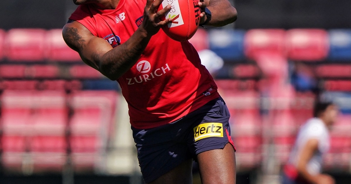 Galleries Melbourne Football Club