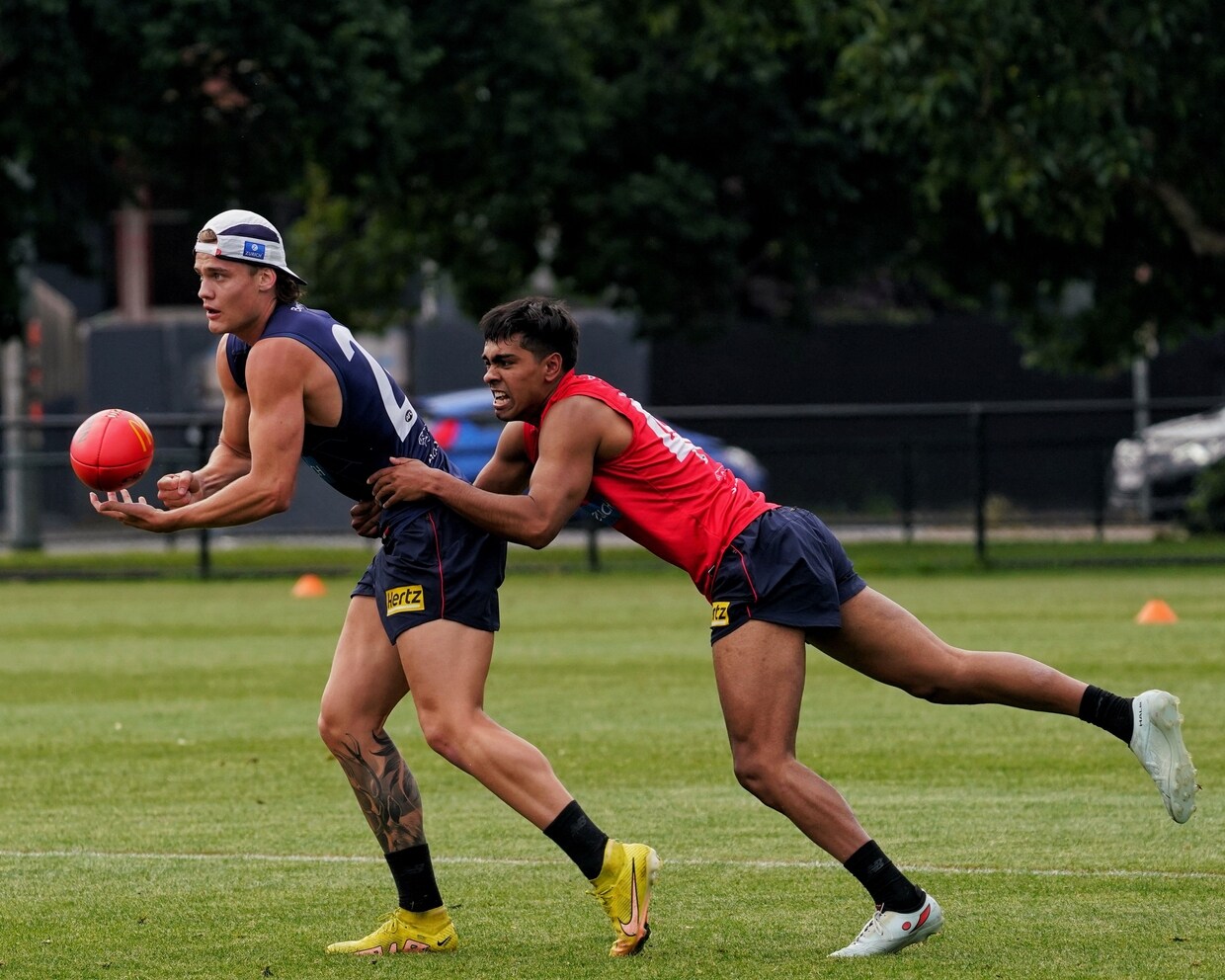 DSC01456.jpg?width=1240