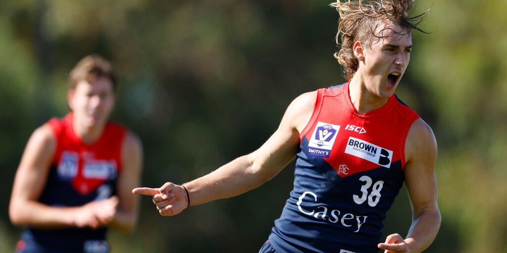 VFL | Demons seal second win - Vimarsana News