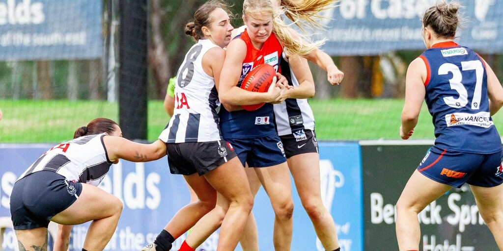 VFLW | Pies too strong for Dees - Vimarsana News