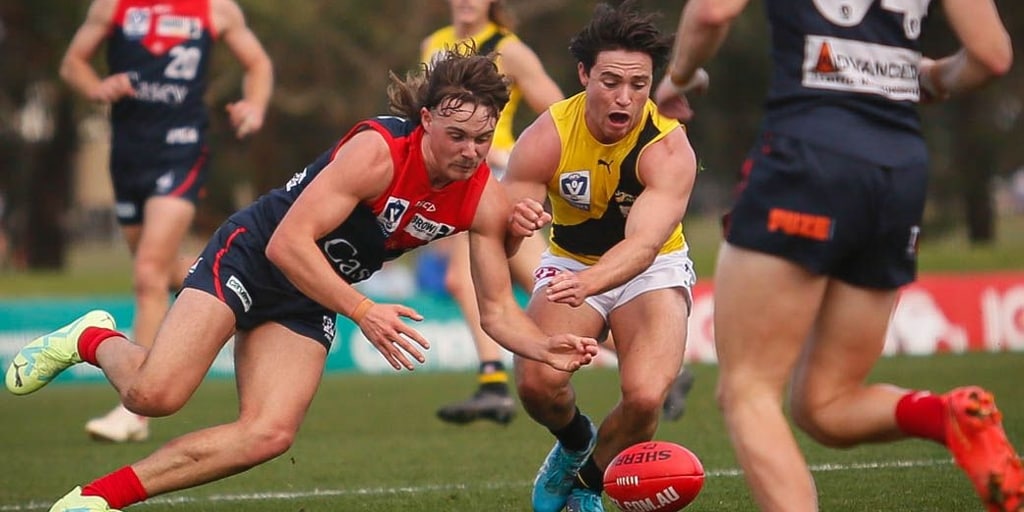 Demons fall short to concede first loss of 2023 - Vimarsana News