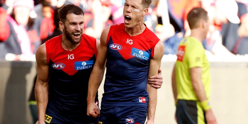 Dees seal double chance with win over Hawks - Vimarsana News