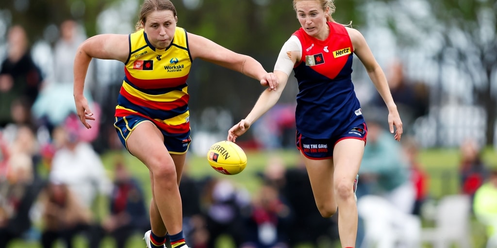 Demons fall short of Crows at Casey - Vimarsana News