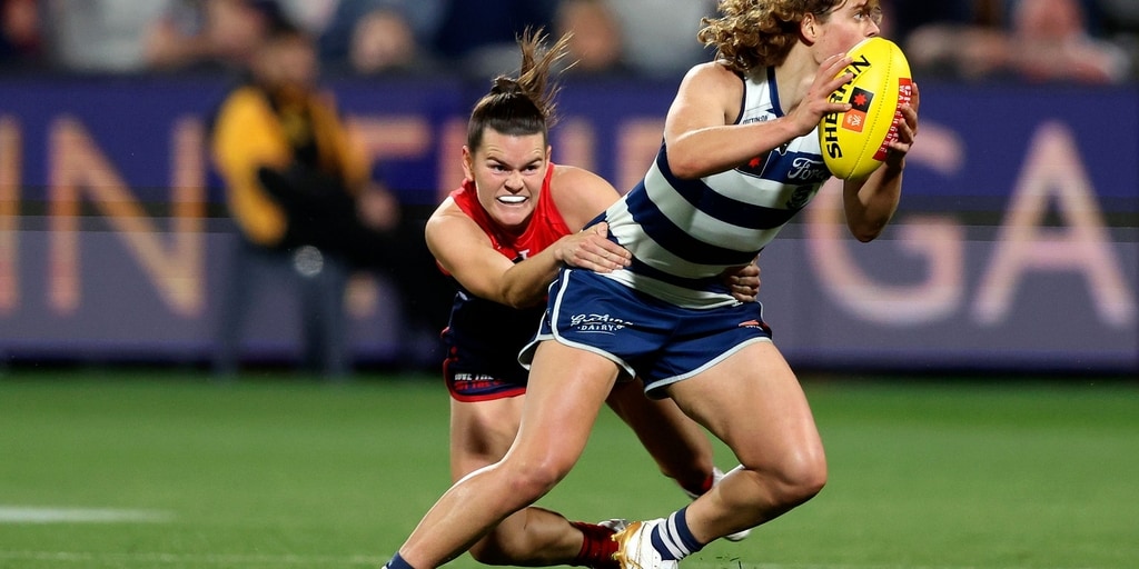 SF Preview | A finals battle with the Cats - Vimarsana News