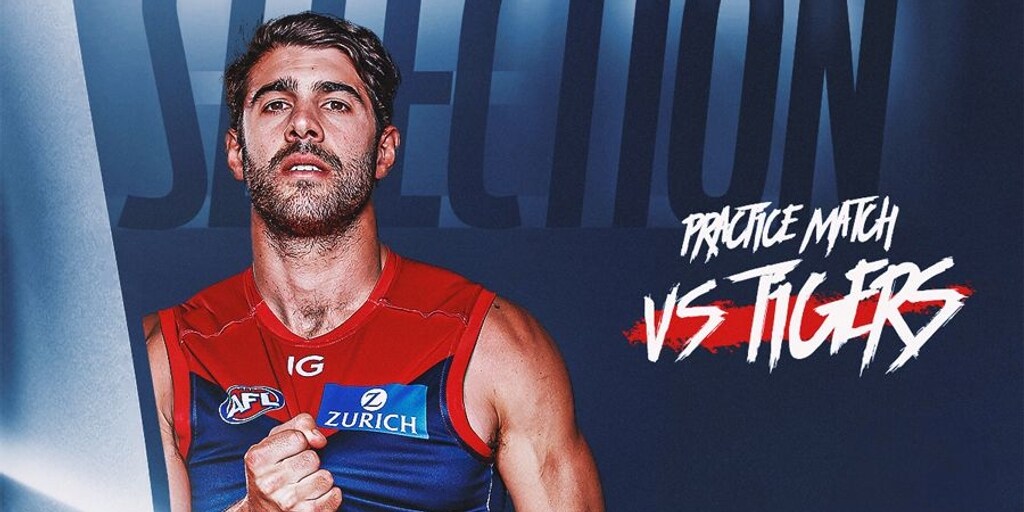 Match simulation selection | Demons v Tigers - Vimarsana News
