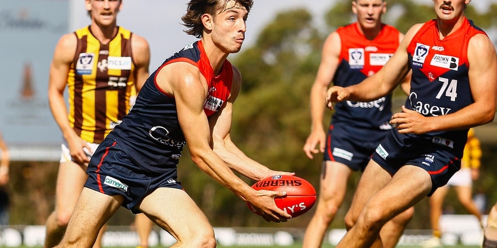 VFL | Demons fall in home opener - Vimarsana News