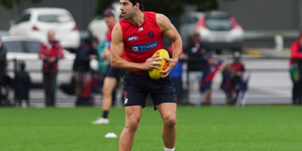 Media conference focuses | All Eyes on the Cats - Vimarsana News