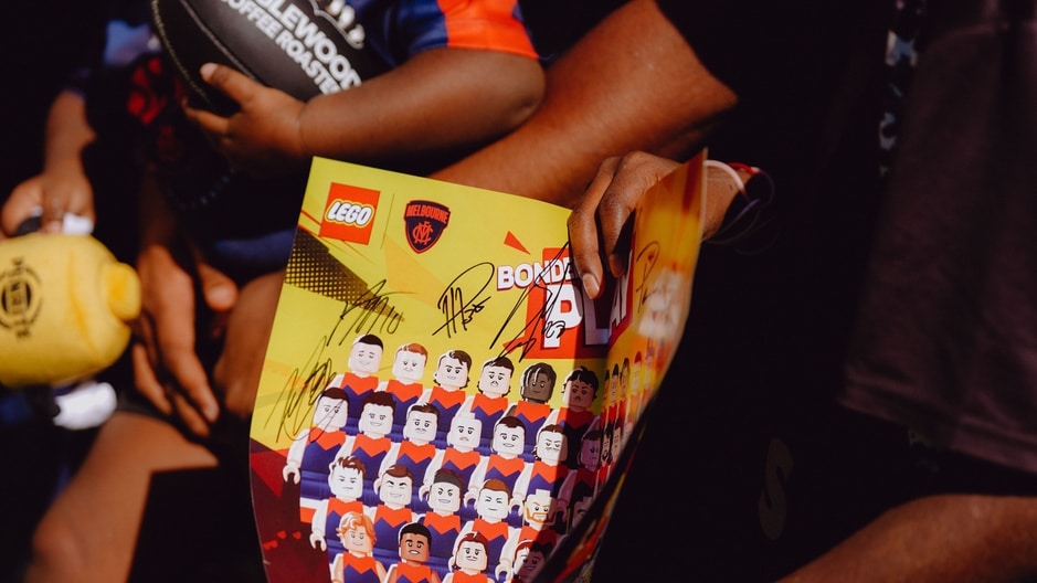 LEGO Poster