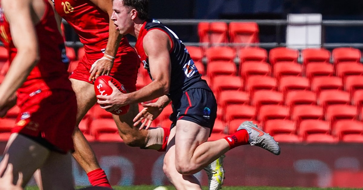 VFL Round 19 | Demons fight not enough to secure the win